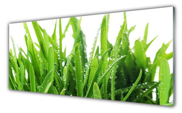 Nástenný panel  Tráva rastlina 125x50 cm
