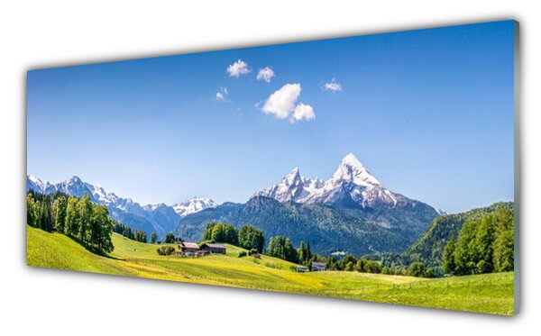 Nástenný panel  Pole stromy hory príroda 125x50 cm