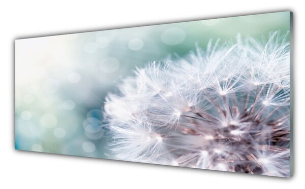 Nástenný panel  Púpava rastlina 125x50 cm