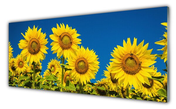Nástenný panel  Slnečnicami rastlina 125x50 cm