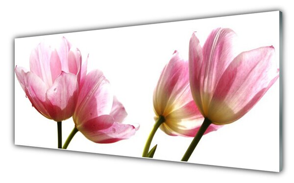 Nástenný panel  Kvety rastlina 125x50 cm