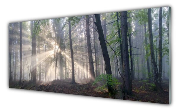 Nástenný panel  Les príroda 125x50 cm