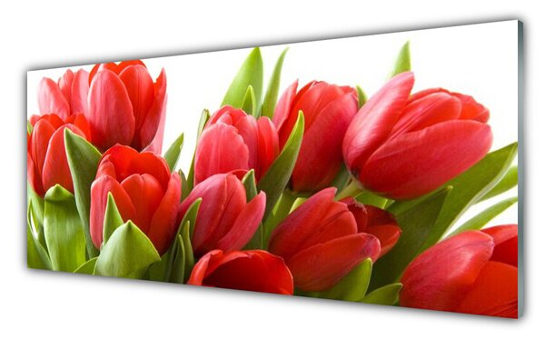 Nástenný panel  Tulipány kvety rastlina 125x50 cm