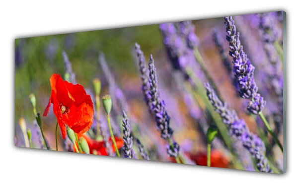 Nástenný panel  Kvety rastlina 125x50 cm