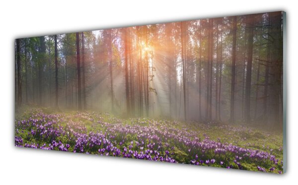 Nástenný panel  Les kvety rastlina príroda 125x50 cm