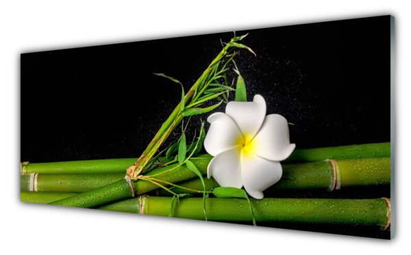 Nástenný panel  Bambus kvet rastlina 125x50 cm