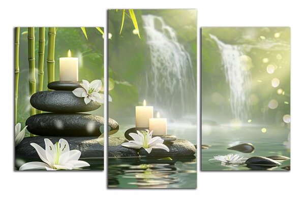 Obraz na plátne Kvety a vodopády