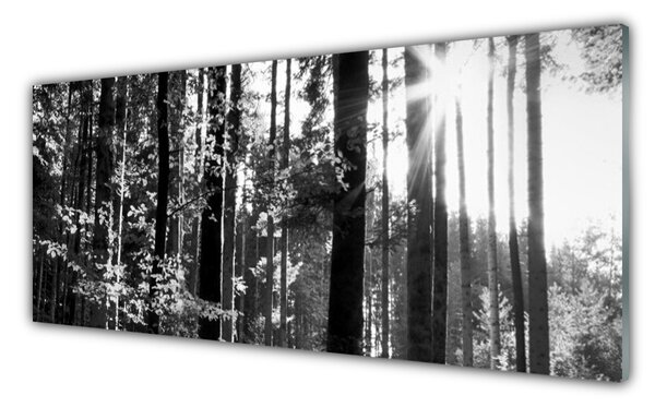 Nástenný panel  Les príroda 125x50 cm