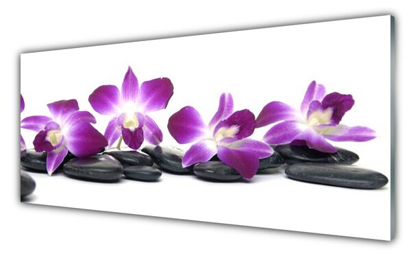 Nástenný panel  Kvet kamene umenie 125x50 cm