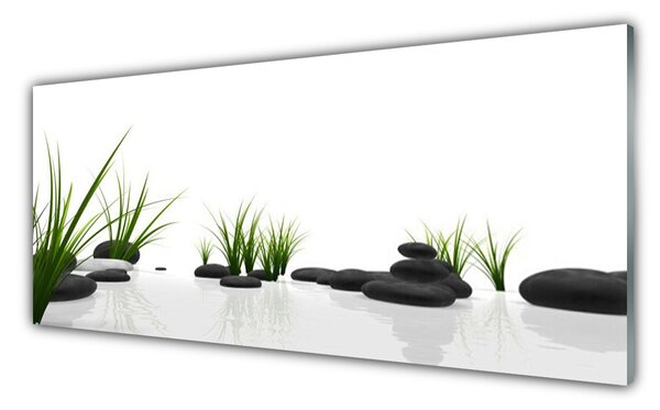 Nástenný panel  Kamene tráva umenie 125x50 cm
