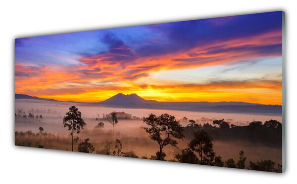 Nástenný panel  Stromy hmla krajina 125x50 cm