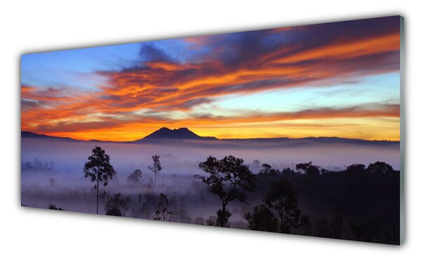Nástenný panel  Stromy hmla krajina 125x50 cm