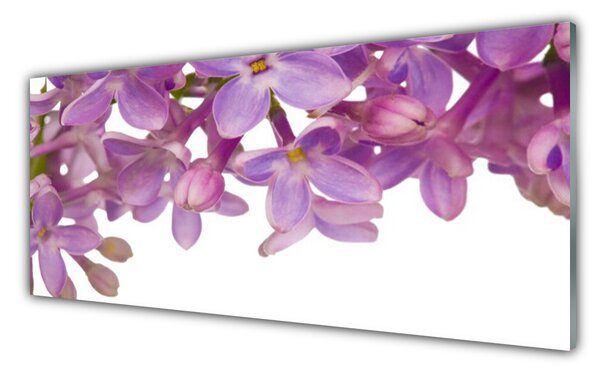 Nástenný panel  Kvety rastlina 125x50 cm
