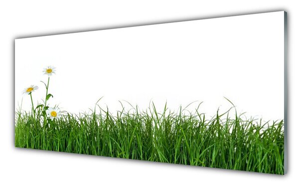 Nástenný panel  Burina príroda rastlina 125x50 cm