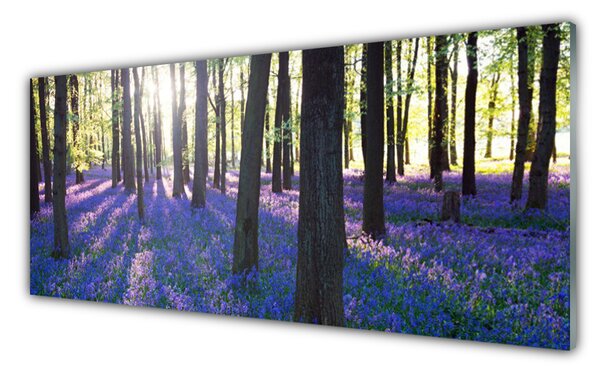 Nástenný panel  Les príroda 125x50 cm