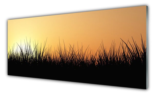 Nástenný panel  Burina príroda rastlina 125x50 cm