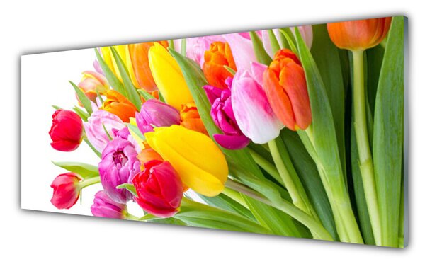 Sklenený obklad Do kuchyne Tulipány kvety rastlina 125x50 cm