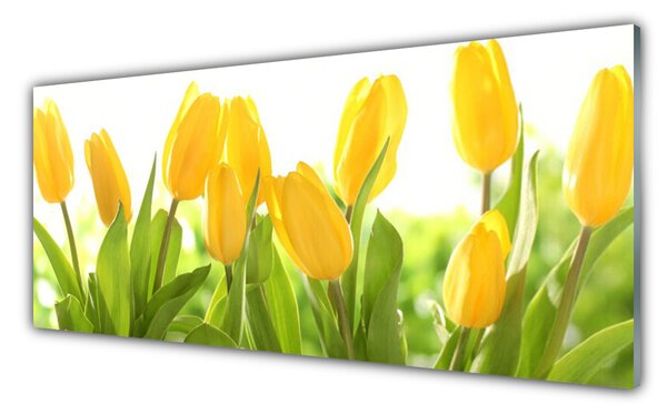 Sklenený obklad Do kuchyne Tulipány kvety rastlina 125x50 cm