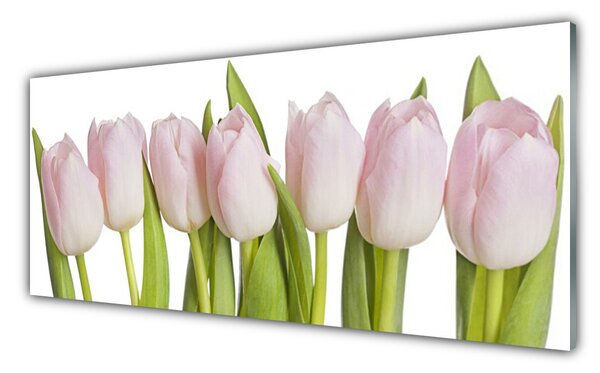 Sklenený obklad Do kuchyne Tulipány kvety rastlina 125x50 cm
