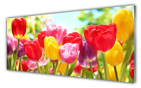 Sklenený obklad Do kuchyne Tulipány kvety rastlina 125x50 cm
