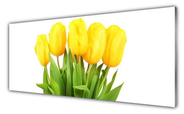 Sklenený obklad Do kuchyne Tulipány kvety rastlina 125x50 cm