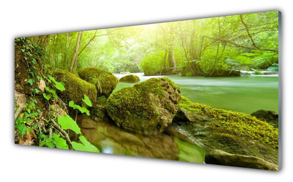 Sklenený obklad Do kuchyne Jazero kamene príroda 125x50 cm