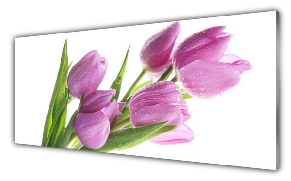 Sklenený obklad Do kuchyne Tulipány kvety rastlina 125x50 cm