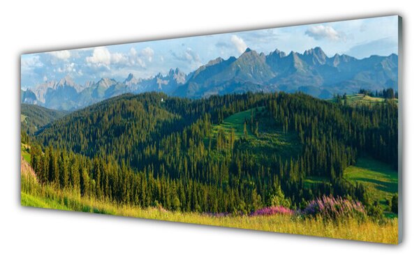 Sklenený obklad Do kuchyne Hora les príroda 125x50 cm