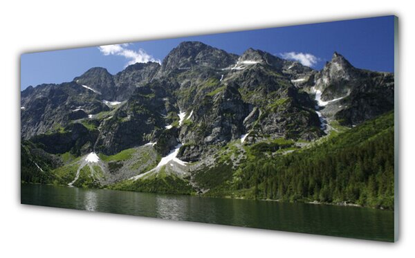 Sklenený obklad Do kuchyne Hory jazero les príroda 125x50 cm