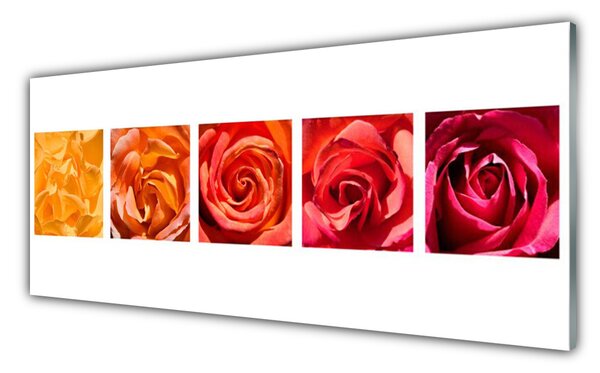 Sklenený obklad Do kuchyne Ruže kvety rastlina 125x50 cm