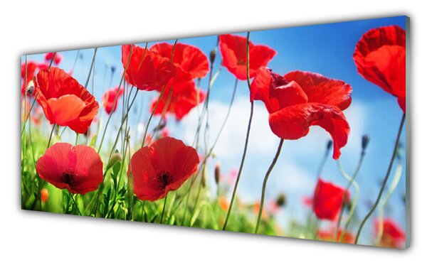 Sklenený obklad Do kuchyne Maky rastlina príroda 125x50 cm