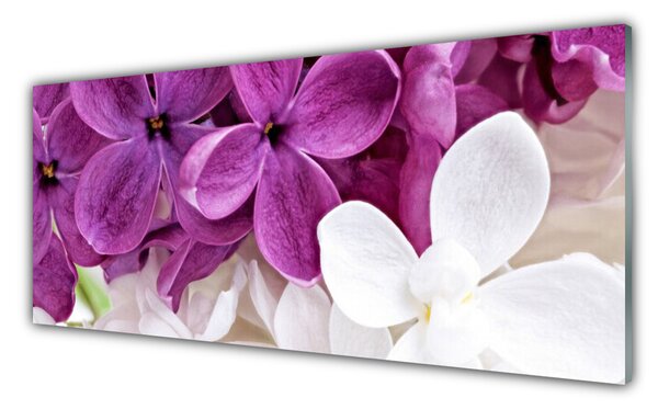 Sklenený obklad Do kuchyne Kvety rastlina príroda 125x50 cm