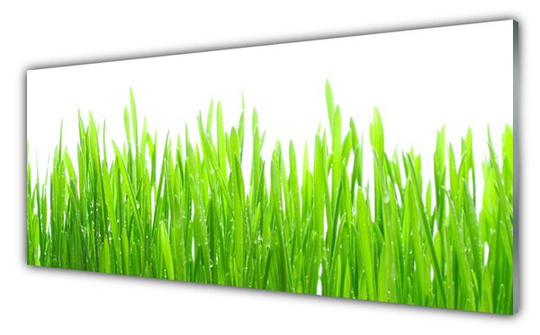 Sklenený obklad Do kuchyne Tráva rastlina príroda 125x50 cm