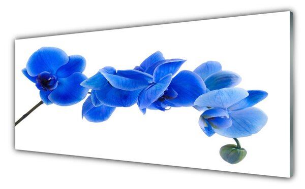 Sklenený obklad Do kuchyne Kvet rastlina príroda 125x50 cm
