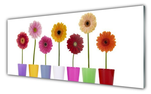 Sklenený obklad Do kuchyne Kvety rastlina príroda 125x50 cm