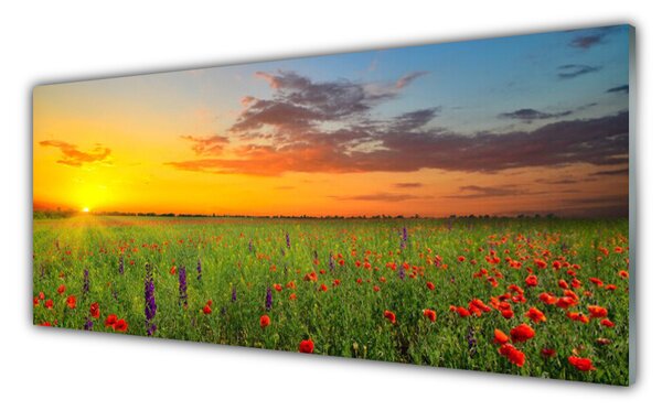 Sklenený obklad Do kuchyne Slnko lúka kvety príroda 125x50 cm