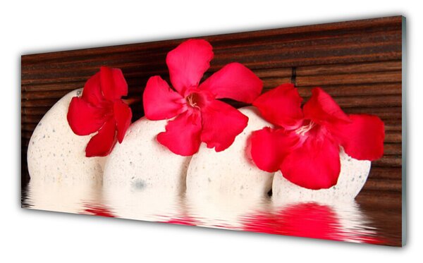 Nástenný panel  Kvet kamene rastlina 125x50 cm