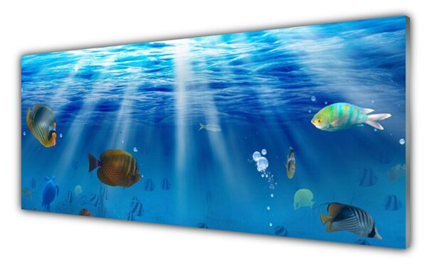 Nástenný panel  Ryba príroda 125x50 cm