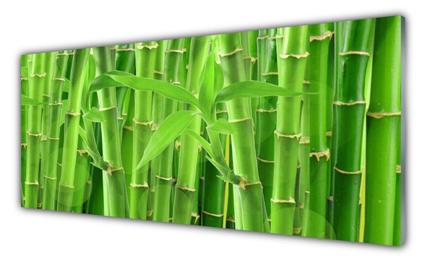 Nástenný panel  Bambus stonka kvet rastlina 125x50 cm
