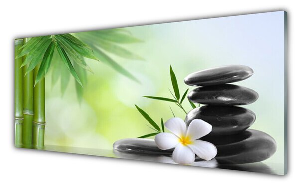 Nástenný panel  Bambus stonka kvet rastlina 125x50 cm