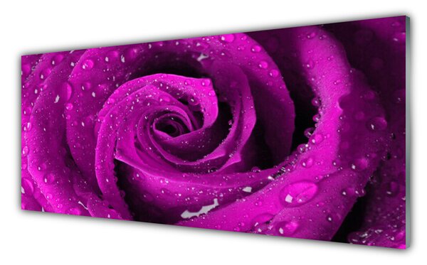 Nástenný panel  Ruže kvet rastlina 125x50 cm