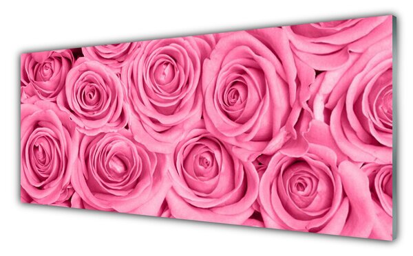 Nástenný panel  Ruže kvety rastlina 125x50 cm