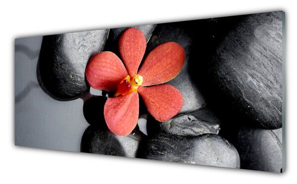 Nástenný panel  Kvet kamene umenie 125x50 cm