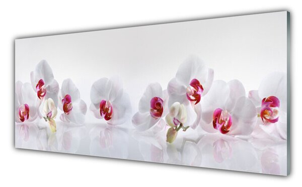 Nástenný panel  Kvety rastlina príroda 125x50 cm