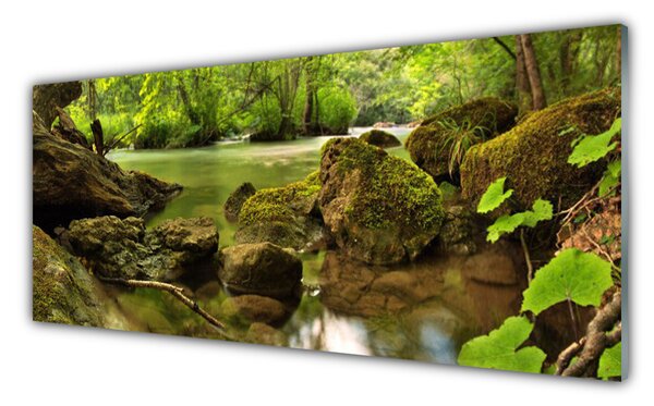 Nástenný panel  Skala jazero príroda 125x50 cm
