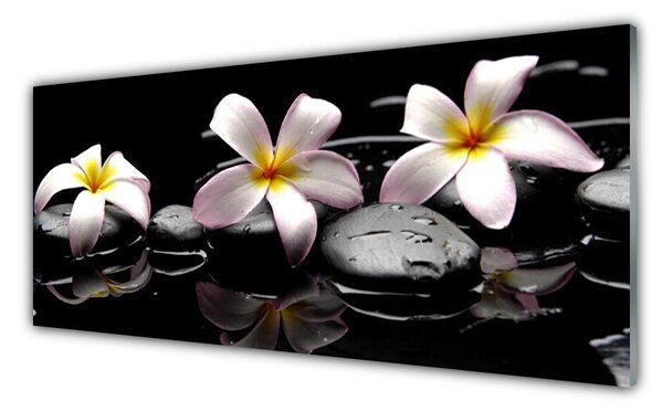 Nástenný panel  Kvet kamene rastlina 125x50 cm