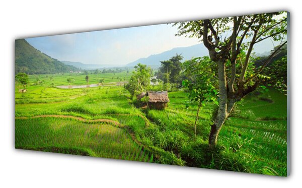 Nástenný panel  Lúka príroda 125x50 cm