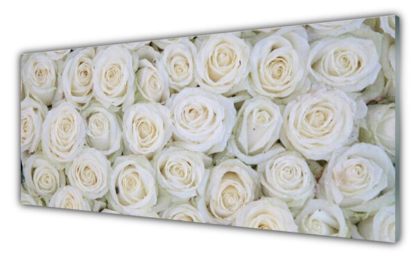 Nástenný panel  Ruže kvety rastlina 125x50 cm