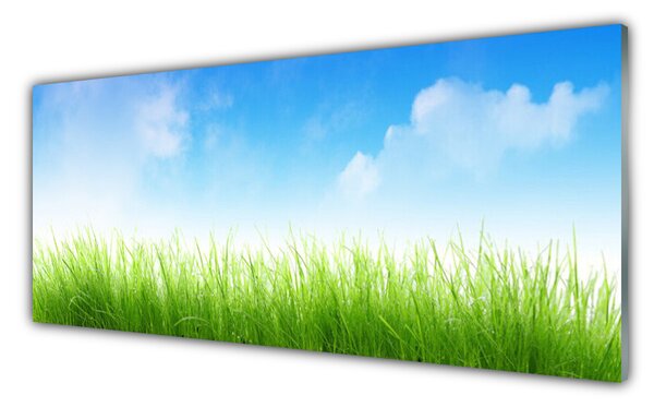 Nástenný panel  Tráva príroda rastlina 125x50 cm