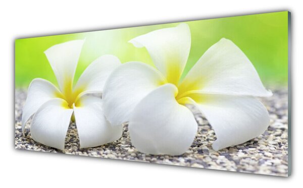 Nástenný panel  Kvety rastlina príroda 125x50 cm